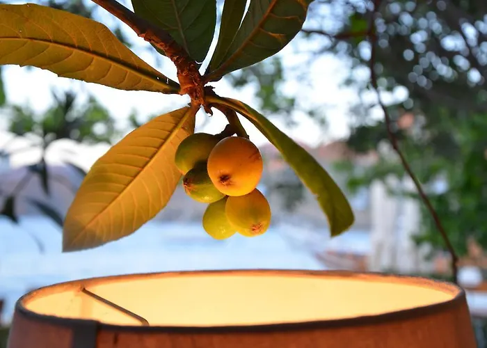 Uzum Tatil Evi فندق السليمية