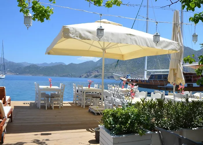 Uzum Tatil Evi فندق