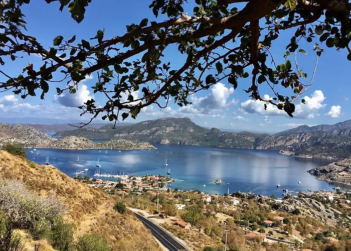 فندق Uzum Tatil Evi السليمية