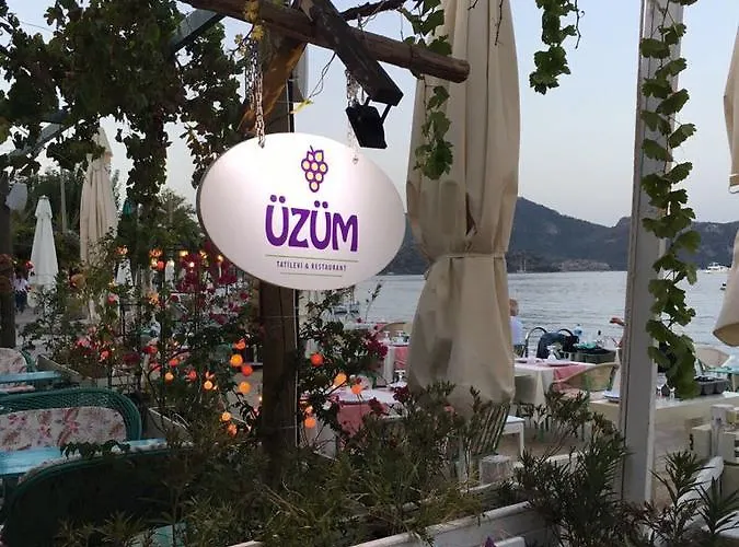 Hotel Uzum Tatil Evi Selimiye (Aegean)