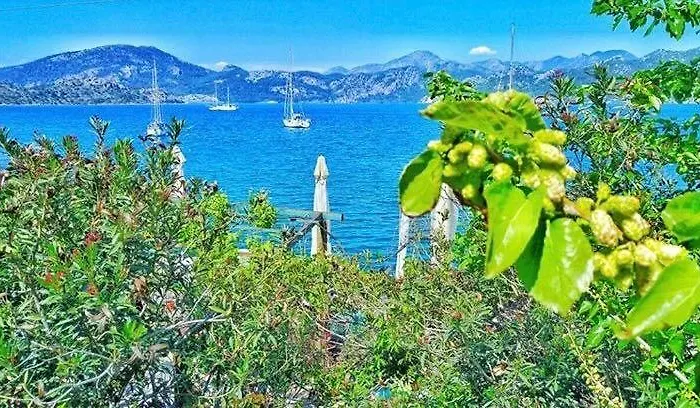 Uzum Tatil Evi فندق 3*