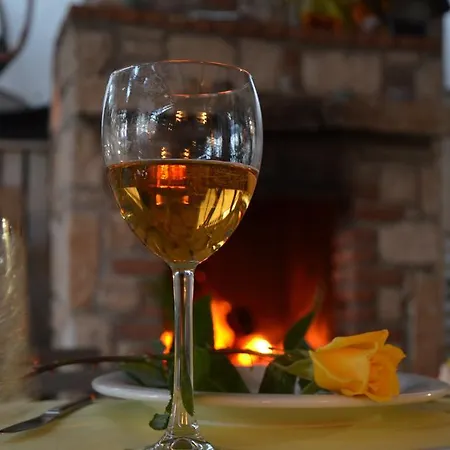 Hotel Uzum Tatil Evi Selimiye (Aegean)